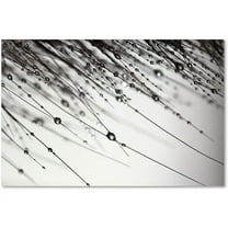 Trademark Fine Art "Her Wishes" Canvas Art by Beata Czyzowska Young