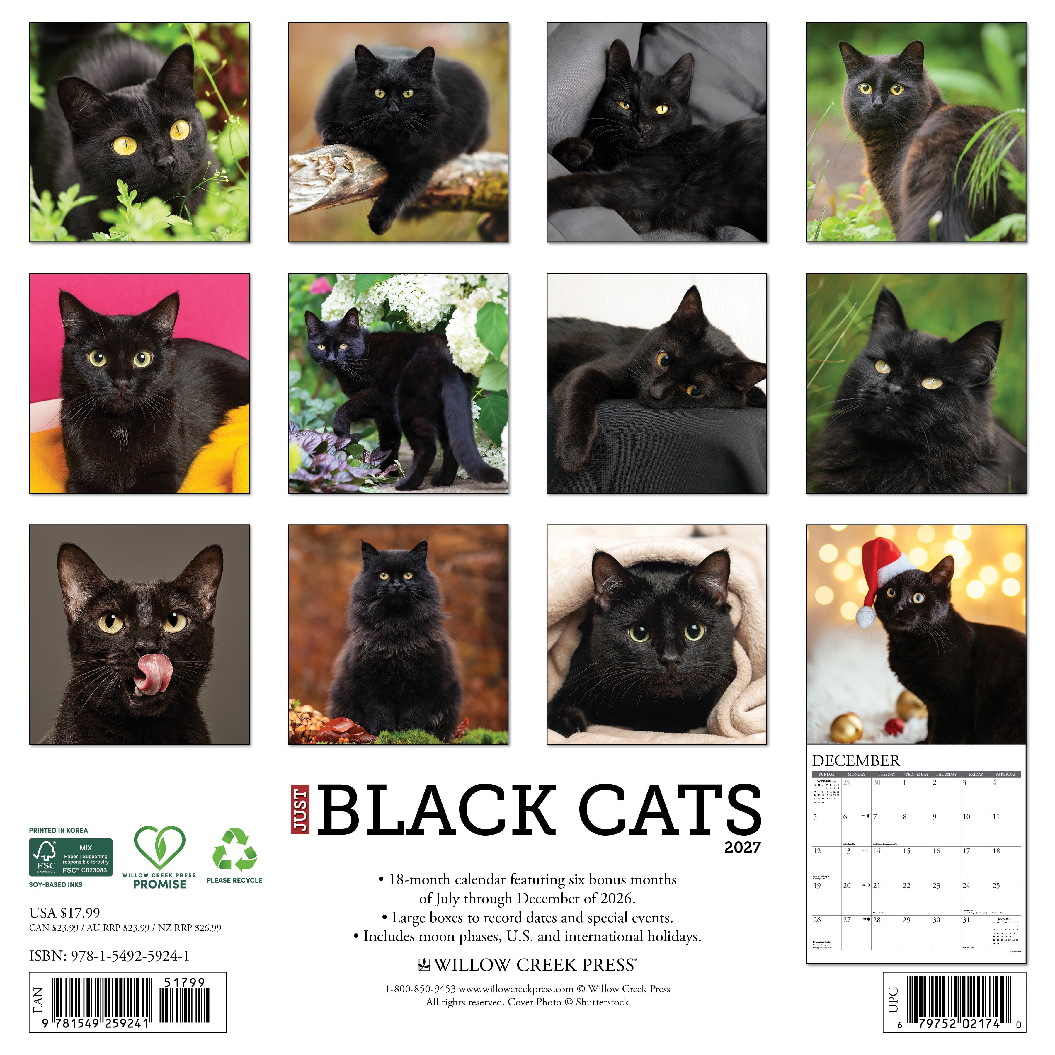 Willow Creek Press, Black Cats 2027 Wall Calendar