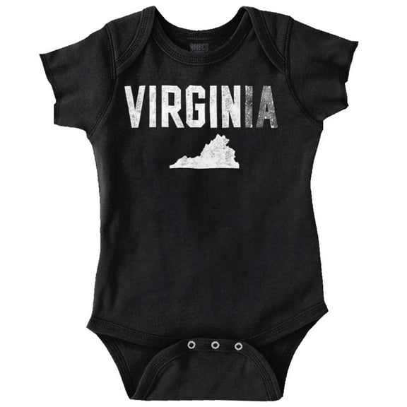 Virginia Funny Pun Tourist Souvenir Romper Boys or Girls Infant Baby Brisco Brands NB