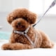 thumbnail image 3 of Ergonomic Dog Harness with Long Leash, Perfect for Training and Daily Walks, 3 of 5