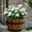 Uv Resistant Artificial Azalea Under $5 a5, variant on Kadlawus Outdoor Artificial Azalea Flowers UV Resistant Greenery Shrubs, Faux Plastic Plants for Garden Porch Home Wedding Party Indoor Decoration