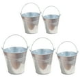 thumbnail image 1 of MasteelfCA 5 Pcs Pots de Fleurs Décoratifs Multi-Fonctions Mini Seaux Décors Galvanisés pour la Maison, 1 of 7