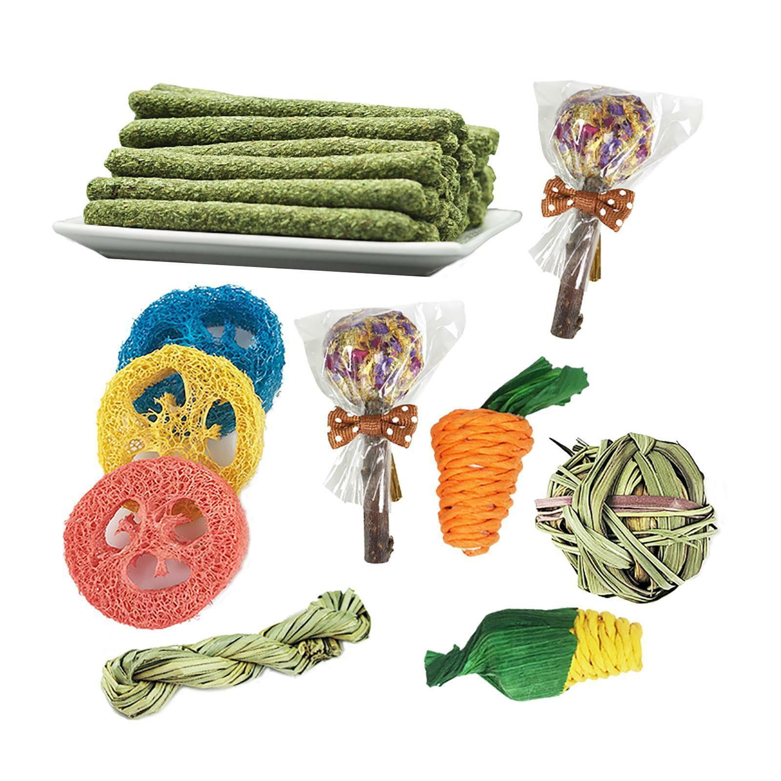 14Pcs Rabbit Chew Toys Natural Material Loofah Guinea Pigs Small