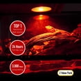 thumbnail image 4 of czcpp-Reptile Lampe Chauffante, 2 Ampoules 75W Intenses et Infrarouges pour Reptiles, Lumière de Nuit UVA Rouge pour Dragon Barbu, Lézard, Gecko, Reptile, 4 of 4