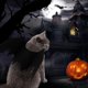 thumbnail image 2 of Alas de murciélago de Gato para decoración de fiesta de Halloween, Collar para cachorro, disfraz de murciélago, lindos accesorios de vestir para cachorro y gato, 2 of 2