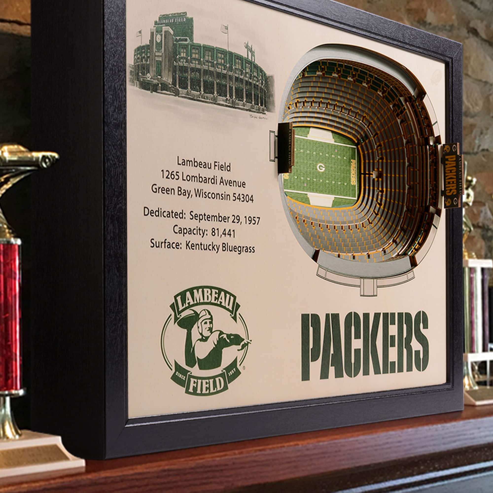 Green Bay Packers Lambeau Field 25.5" x 19.5" Stadium Views Wall Art