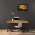 thumbnail image 4 of Hausenflock, Alan 24x17 Black Modern Framed Museum Art Print Titled - Late Fall Day II, 4 of 5