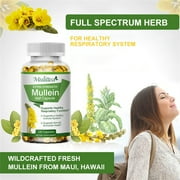 كبسولات Mulittea Natural Mullein Leaf المكمل العشبي لتطهير الرئة ، يدعم وظيفة الجهاز التنفسي الصحي ، 120 كبسولة