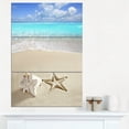 thumbnail image 1 of Plage des Caraïbes Étoile de Mer Plage, 1 of 1
