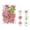 B, variant on Dvkptbk Colorful Natural Dried Flowers And Embossed Decorative Set