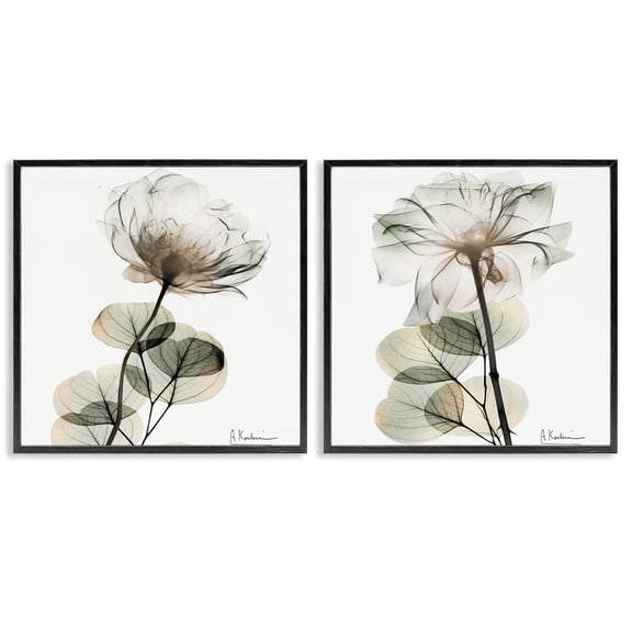 Stupell Industries Cream Transparent Floral Floral Painting Black Framed Art Print Wall Art, 12 x 12, Set of 2