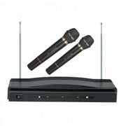 Professional Wireless Dual Microphone System