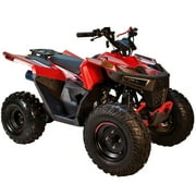 HHH 125cc ATV Quad 125cc ATV with Reverse, LED Lights, Big Wide Tires 4 Wheeler-Black
