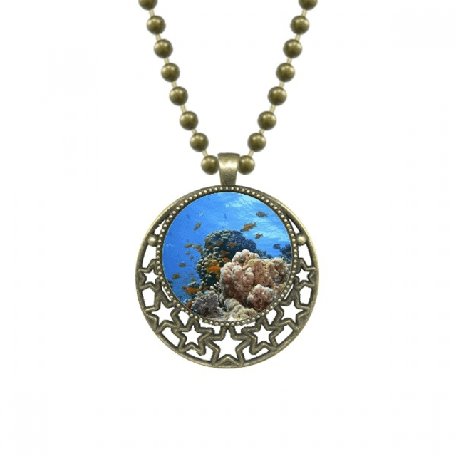 Ocean Fish Science Nature Picture Pendant Star Necklace Moon Chain Jewelry