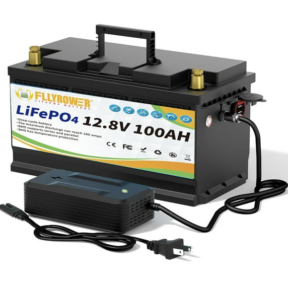 12V 100Ah LiFePO4 Lithium Battery with a Charger,for RV,Marine,Trolling Motor,Solar,Camping,Power Storage,Bulit in 100A BMS,15000+Deep Cycles