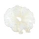 thumbnail image 1 of Ofertas Únicas 1 Pc Scrunchie Moda Perla Malla Impresa Gomas para el Cabello Amarillo, 1 of 5