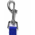 thumbnail image 4 of GFDYREE Dog/Puppy Obedience Long Recall Training Agility Lead Leash - Perfect for Pet Behavior Training, Multiple Sizes (150 ft, Blue), 4 of 6