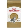 Royal Canin American Shorthair Adult Dry Cat Food, 7-lb bag