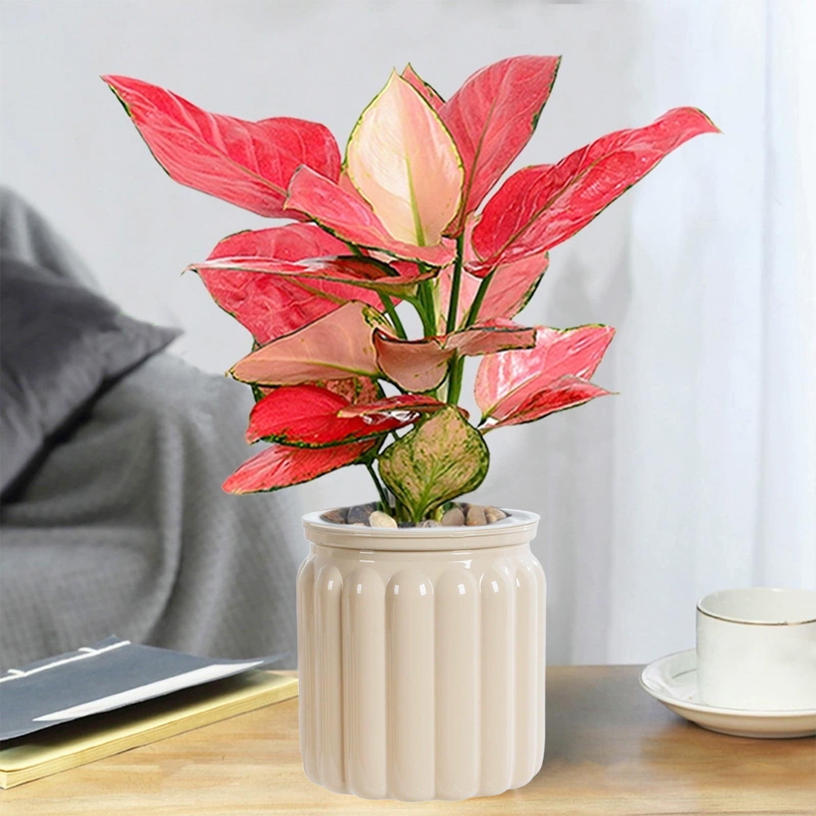 Self-Watering Planter Pot with Visible for Indoor, Low Maintenance Plant Container for Desktop Decor Water Storage System for Plant Growth Home Gardening