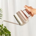 thumbnail image 3 of HONMEET  1Pcs Thickened Garden Watering Can Silver Stainless Steel Indoor and Outdoor Use Round Spout, 3 of 8