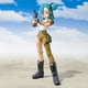 thumbnail image 2 of 2025 Figuras de acción de Dragon Ball de 13,5 cm, figuras de acción de Bulma Goku, Colección móvil de PVC, muñecos SHF de la infancia, Son Goku, modelos de Juguetes, 2 of 5