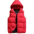 thumbnail image 1 of Men's Quilted Winter Vest Outdoor Removable Hooded Padded Puffer Vest, 1 of 5