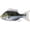 Green/Pearl, variant on LIVETARGET Sunfish 3.8" Swimbait Black/Silver