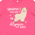 thumbnail image 4 of Inktastic Grandma's You Say Alpaca My Bags Youth T-Shirt, 4 of 5