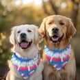 thumbnail image 2 of Dog Bandana 2 Pack,Colorful Tie Dye Pattern Bandanas for Dogs,Cat Bandana,Small/ Large Dog Bandana 2 Size,Dog Bandanas, 2 of 6