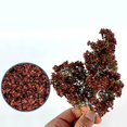 thumbnail image 2 of relayinert Scène Accessoires Feuille Micro Paysage Feuilles Modèle pour Table Sable Train Brun 50ml 1Set, 2 of 6
