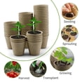 thumbnail image 6 of Elegant Choise 50-100PCS Biodegradable Nursery Pots Garden Plant Grow Seedling Planting Pots, 6 of 17