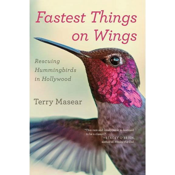 Fastest Things on Wings: Rescuing Hummingbirds in Hollywood, (Paperback)