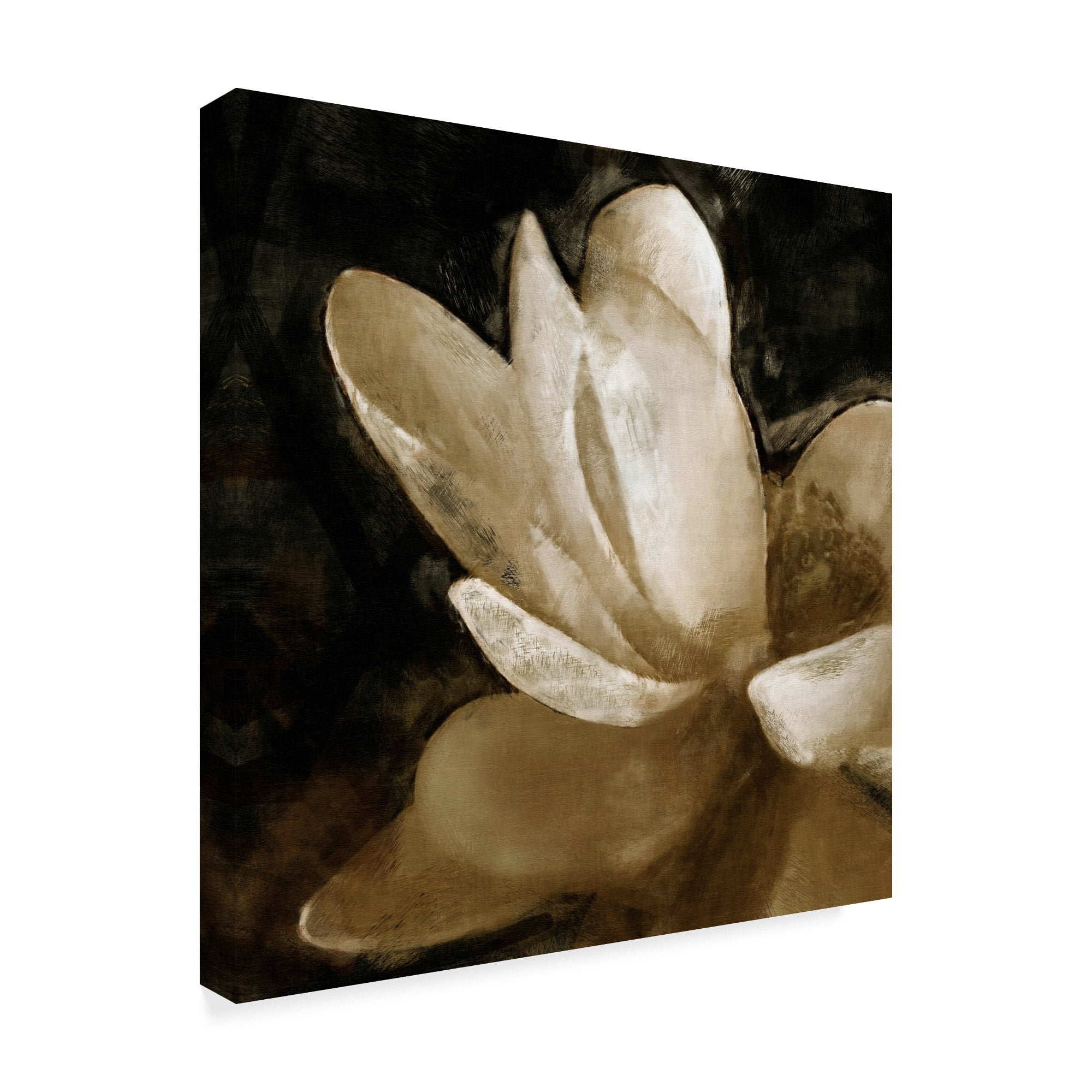 Trademark Fine Art 'Bronze Lily V' Canvas Art by Noah Bay