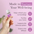 Pran Arob Pranarom Clean Air Wellness Blend Diffusing Oil - Organic Essential ...