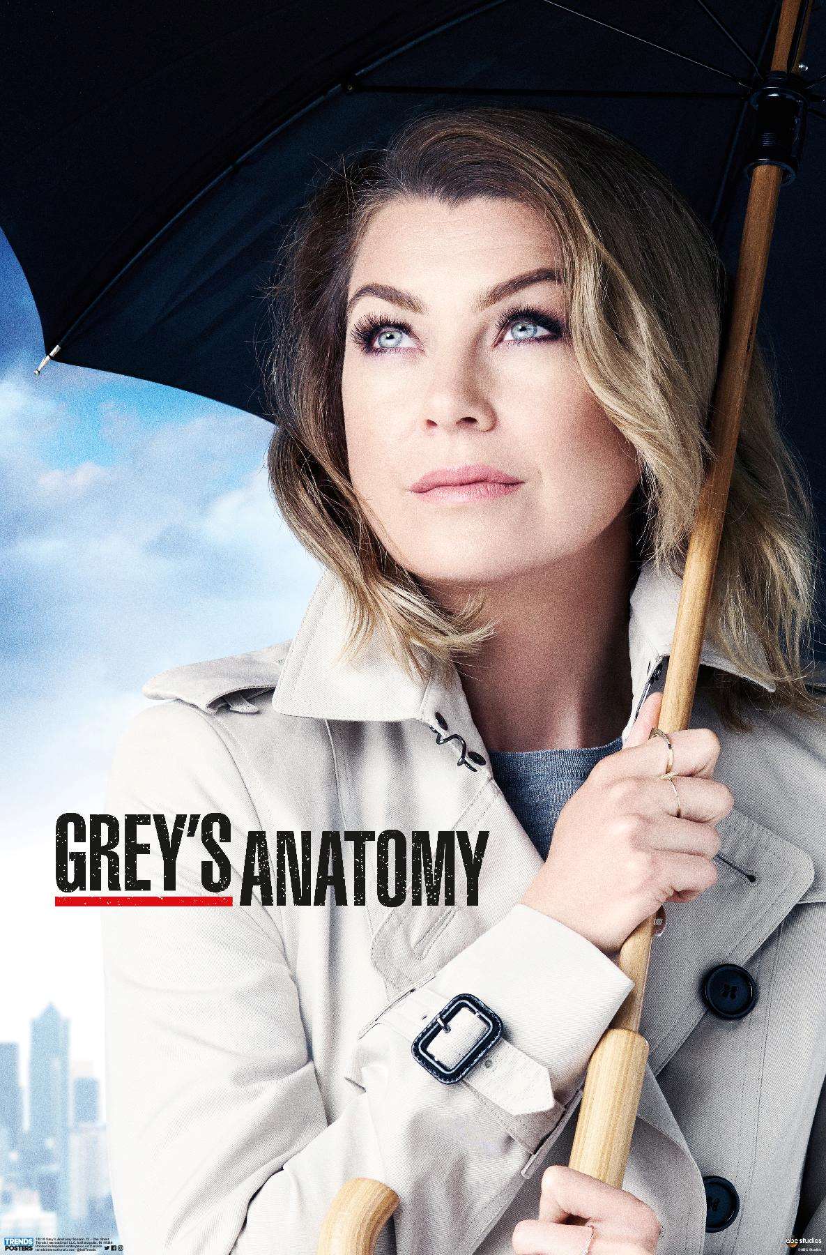 Greys Anatomy Replay Saison 12