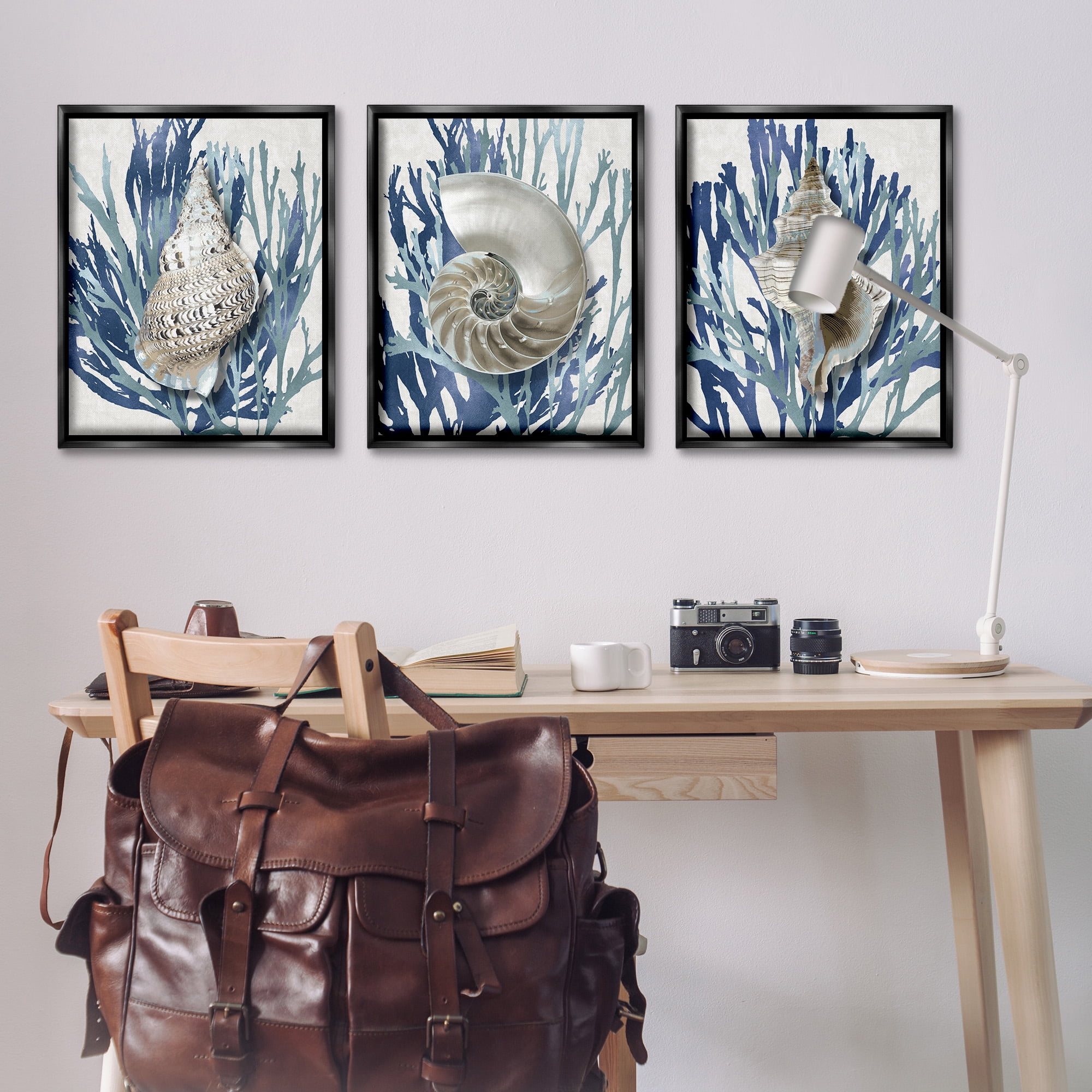 Stupell Industries Trio of Shells & Coral Nature Painting Black Floater Framed Canvas Art Print Wall Art, 25 x 31, Set of 3