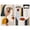 Gallery Wrapped, variant on Split Personalities Canvas Print Modern Abstract Art Set by Art Remedy, White Frame, 20 x 30