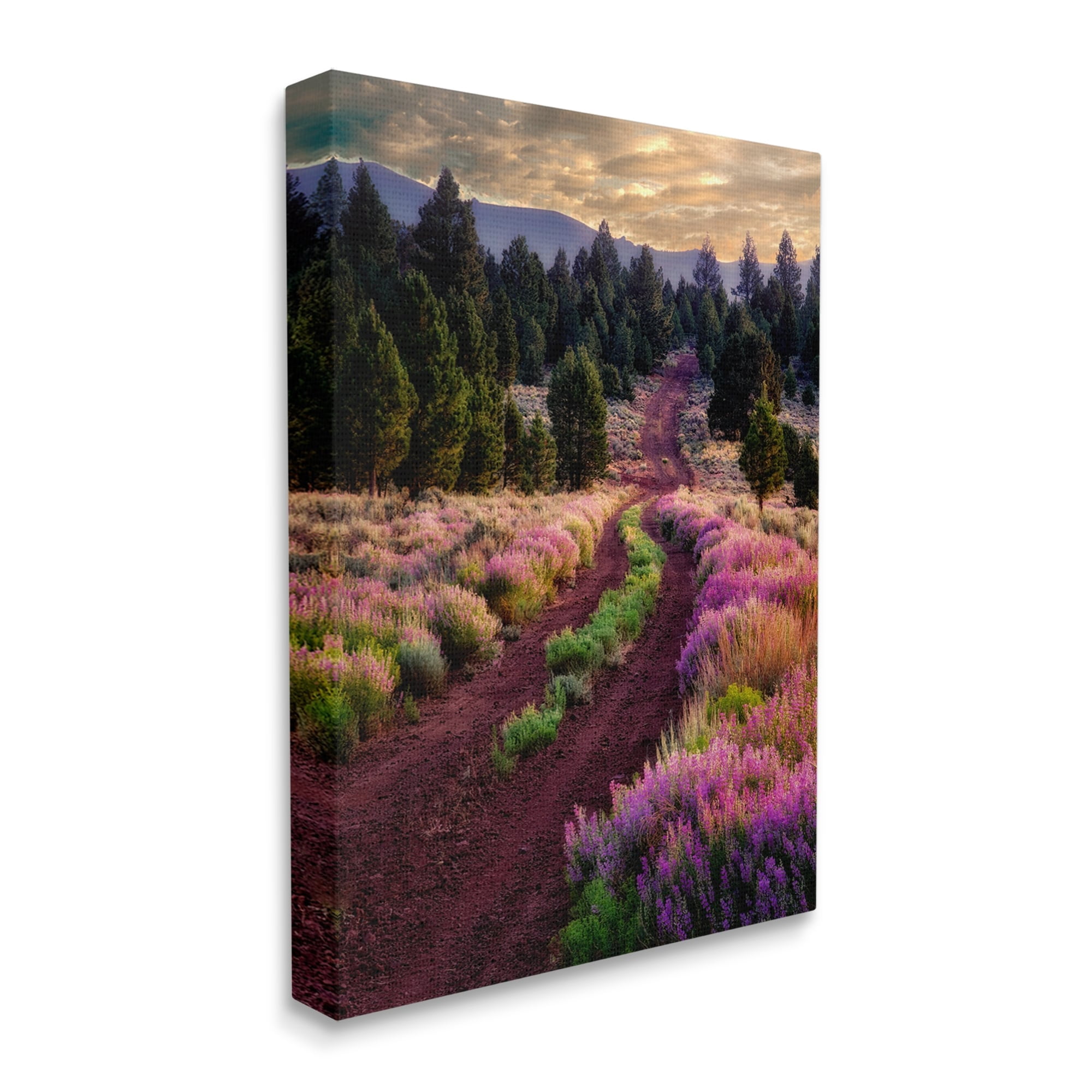 Stupell Industries Pink Blooming Meadow Landscape Landscape Photography Gallery Wrapped Canvas Print Wall Art