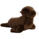 thumbnail image 1 of Peluche Flopsies Aurora León Marino California 8 Pulgadas, 1 of 2