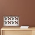 thumbnail image 1 of GAXIRE 1 Set of Butterfly Box Wood Vintage Insect Collector Storage for Home Use, 1 of 6