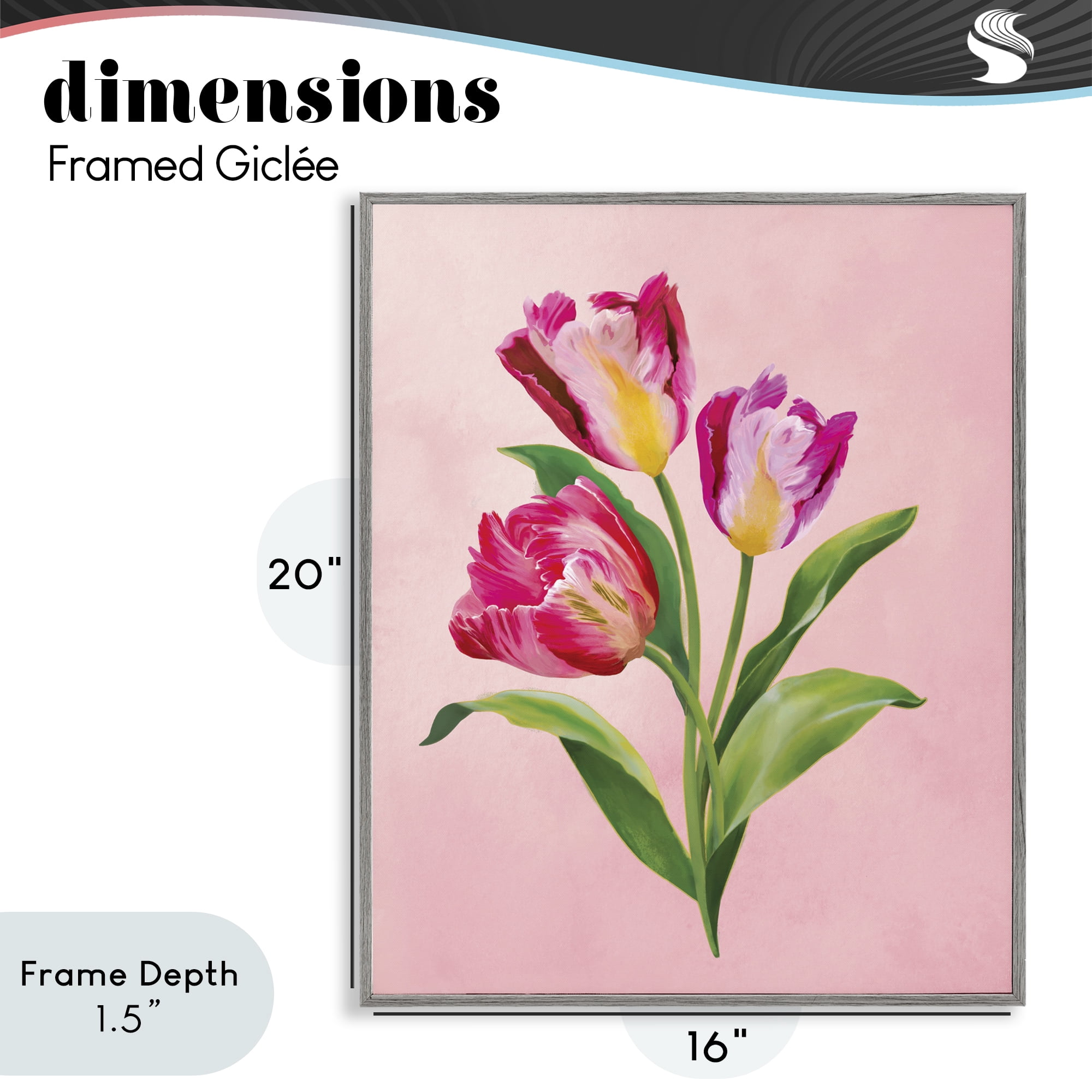 Stupell Industries Vibrant Magenta Tulips Gray Framed Giclee Art, design by Diane Neukirch