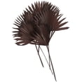 thumbnail image 6 of 26" Handmade Large Sun Palm Spear Dried Plant Natural Foliage Palm Leaf Bouquet, by DecMode, 6 of 8