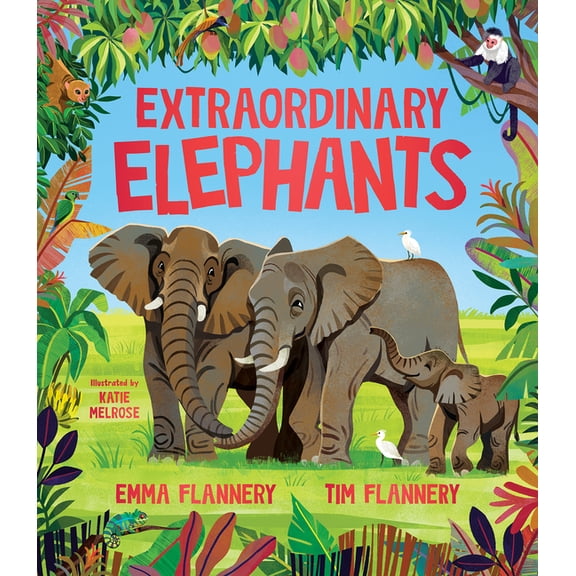 Explore Your World: Spotlight Extraordinary Elephants, (Hardcover)