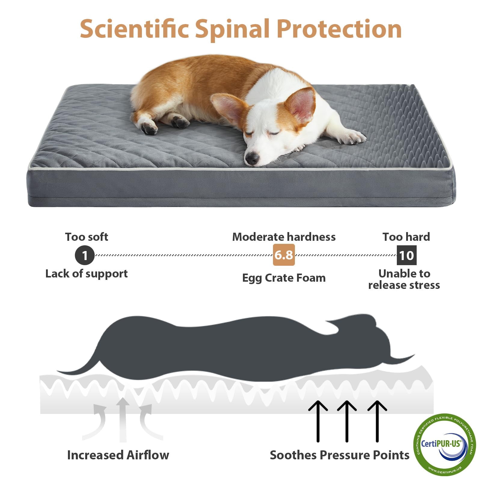 Dog Bed Medium Size  Waterproof Dogs With Removable Washable Cover Multi-needle Quilting Crate