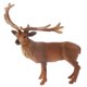 thumbnail image 2 of Masculina Detallada De Los Animales Ciervo Animal Hora De Cuentos Apoyos Sunnimix Modelo animal, 2 of 8