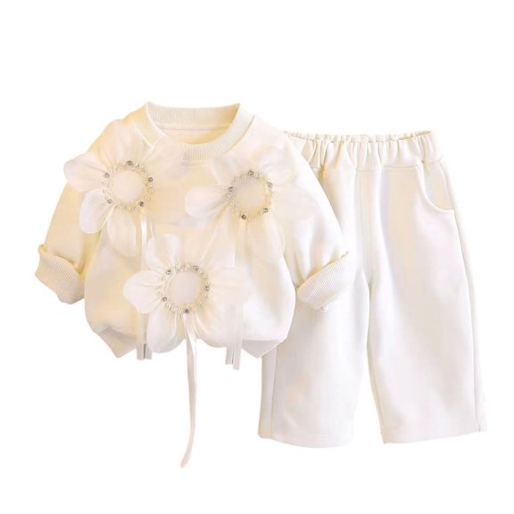 Jalioing Toddler Girls 2 Piece Outfits Casual Cute Crew Neck Tops and Wide Leg Pants Set Spring Fall Clothes 0-6 Years