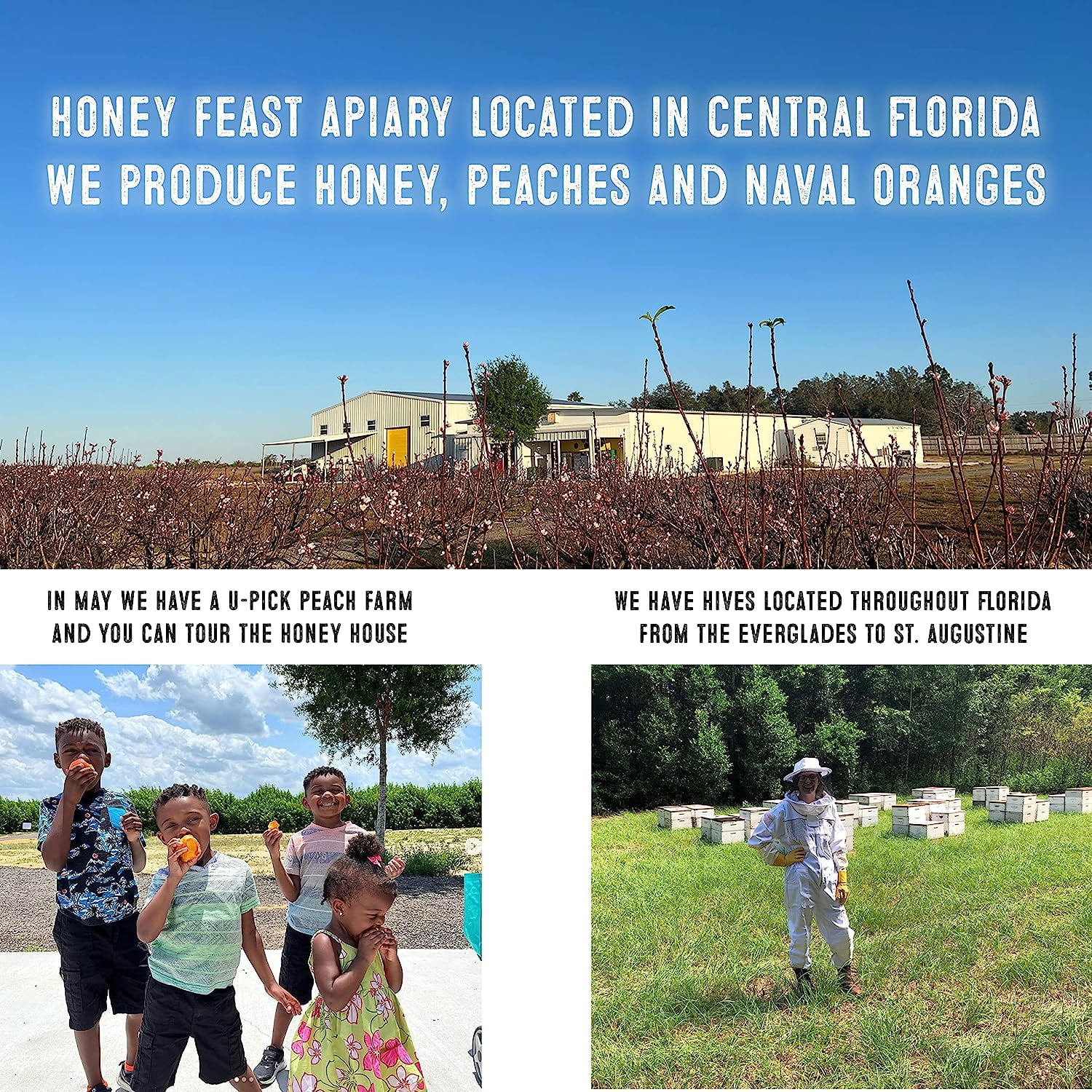 HONEY FEAST Spiced Rum Honey Jars 12oz (Pack of 3) | Multi-Pack Flavored Honey | Unique Gourmet Gift