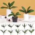 thumbnail image 2 of MesaSe Simulation Leaves Non-Wilting Fake Phalaenopsis Orchid Leaves Home Decor, 2 of 10