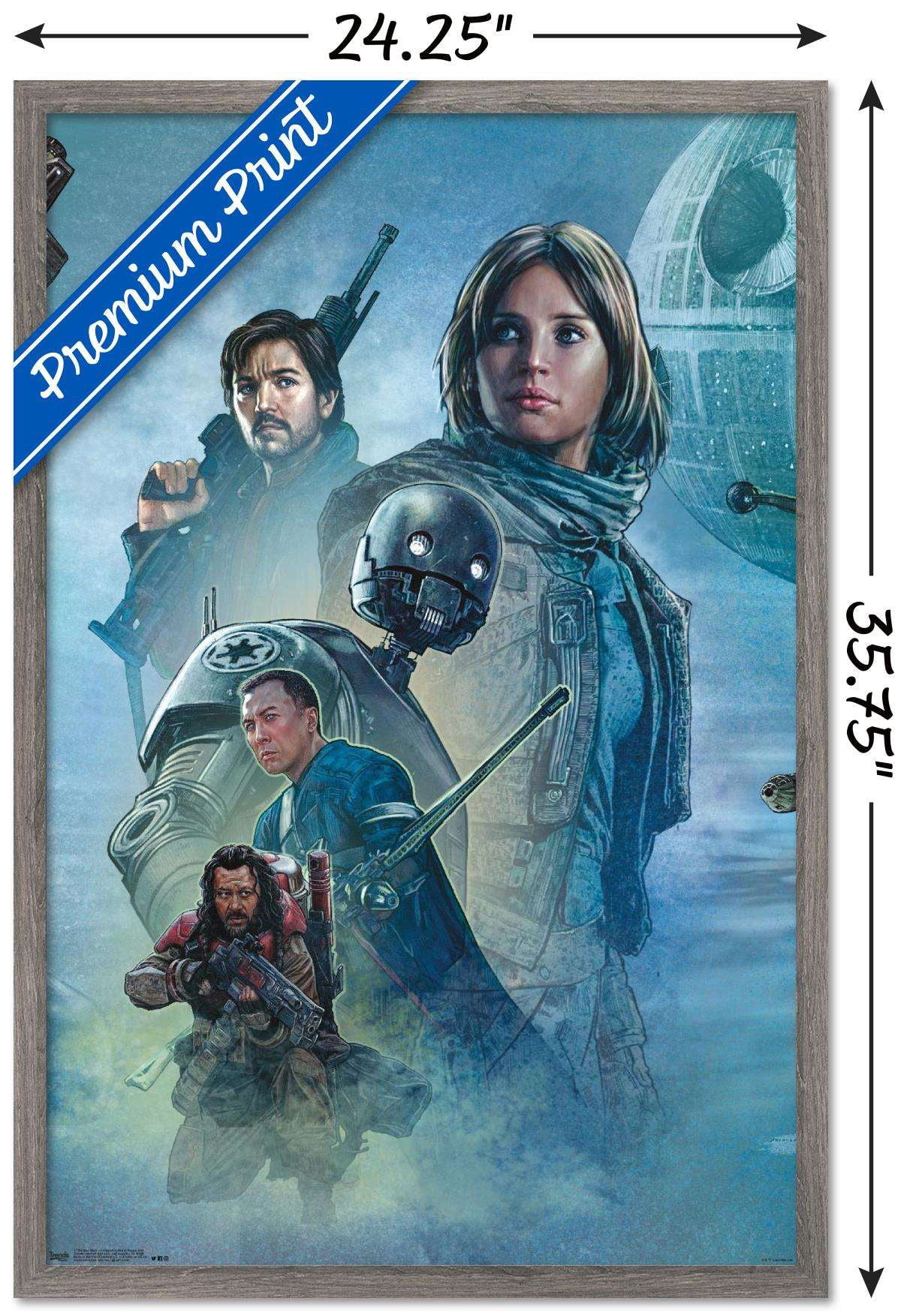 Star Wars: Rogue One - Celebration Mural Wall Poster, 22.375" x 34", Framed