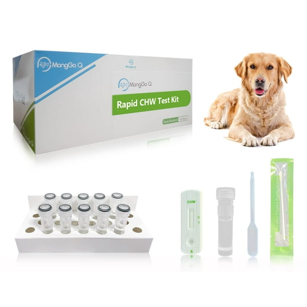 MONGGO Q Canine Heartworm CHW Auxiliary Diagnostic Health Testing Kit
